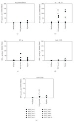 IFN gamma Antibody in ELISA (ELISA)