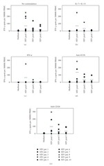 IFN gamma Antibody in ELISA (ELISA)