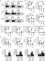 IL-17A Antibody in Flow Cytometry (Flow)