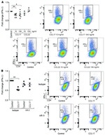 CD3e Antibody in Flow Cytometry (Flow)