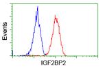 IGF2BP2 Antibody in Flow Cytometry (Flow)