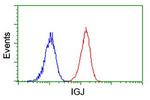 IGJ Antibody in Flow Cytometry (Flow)