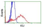 IGJ Antibody in Flow Cytometry (Flow)