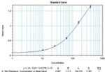 IL-1 beta Antibody in ELISA (ELISA)