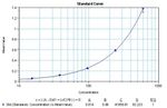 IL-12 p70 Antibody in ELISA (ELISA)