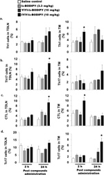 IL-17A Antibody in Flow Cytometry (Flow)