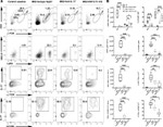 IL-17A Antibody in Flow Cytometry (Flow)