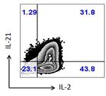 IL-2 Antibody in Flow Cytometry (Flow)