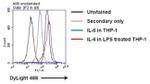 IL-6 Antibody in Flow Cytometry (Flow)