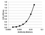 IL-6 Antibody in ELISA (ELISA)