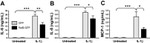 IL-8 (CXCL8) Antibody in ELISA (ELISA)