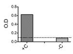 IL22RA2 Antibody in ELISA (ELISA)