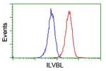 ILVBL Antibody in Flow Cytometry (Flow)