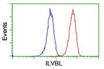 ILVBL Antibody in Flow Cytometry (Flow)