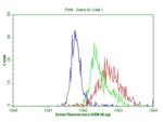 IQGAP1 Antibody in Flow Cytometry (Flow)