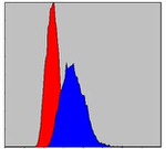 IRAK4 Antibody in Flow Cytometry (Flow)