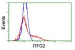 ITFG2 Antibody in Flow Cytometry (Flow)