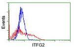 ITFG2 Antibody in Flow Cytometry (Flow)