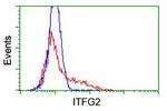 ITFG2 Antibody in Flow Cytometry (Flow)