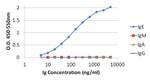 Human IgE Secondary Antibody in ELISA (ELISA)