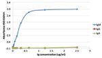 Human IgM Secondary Antibody in ELISA (ELISA)