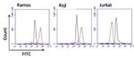 Human IgM Secondary Antibody in Flow Cytometry (Flow)