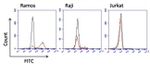 Human IgM Secondary Antibody in Flow Cytometry (Flow)