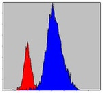 JAK3 Antibody in Flow Cytometry (Flow)