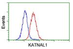 KATNAL1 Antibody in Flow Cytometry (Flow)