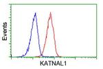 KATNAL1 Antibody in Flow Cytometry (Flow)