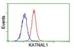 KATNAL1 Antibody in Flow Cytometry (Flow)