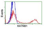 KATNB1 Antibody in Flow Cytometry (Flow)