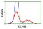 KCNJ3 Antibody in Flow Cytometry (Flow)