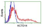 KCTD14 Antibody in Flow Cytometry (Flow)