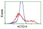 KCTD14 Antibody in Flow Cytometry (Flow)