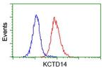 KCTD14 Antibody in Flow Cytometry (Flow)