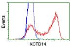 KCTD14 Antibody in Flow Cytometry (Flow)