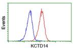 KCTD14 Antibody in Flow Cytometry (Flow)