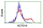 KCTD14 Antibody in Flow Cytometry (Flow)