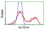 KCTD14 Antibody in Flow Cytometry (Flow)