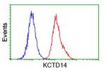 KCTD14 Antibody in Flow Cytometry (Flow)