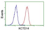 KCTD14 Antibody in Flow Cytometry (Flow)