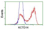 KCTD14 Antibody in Flow Cytometry (Flow)