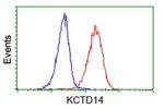 KCTD14 Antibody in Flow Cytometry (Flow)