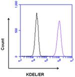 KDEL Antibody in Flow Cytometry (Flow)