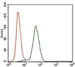 KEAP1 Antibody in Flow Cytometry (Flow)