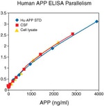 Human Amyloid Precursor Protein ELISA Kit