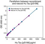 Human Tau (Phospho) [pS199] ELISA Kit