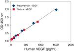 Human VEGF ELISA Kit