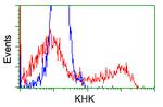 KHK Antibody in Flow Cytometry (Flow)